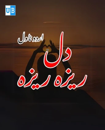 Dil E Reza Reza Novel by Ameer Hamza