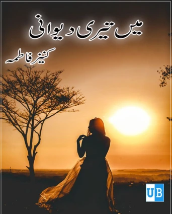 Main Teri Deewani novel Kaniz Fatma