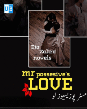 mr possesive love mr possesive love