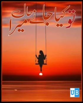 Tu kia jaane mera 2